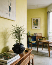 Radial Flare Planter – styled on a console