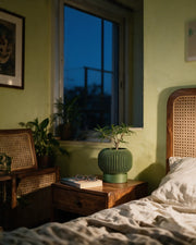 Rib Bowl Planter – at night on a bedside table