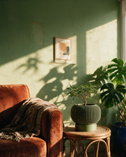 Rib Bowl Planter – on a side table at golden hour