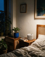 Rib Drum Planter – at night on a bedside table