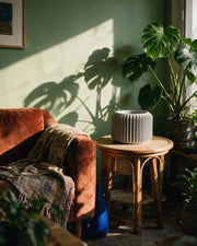 Rib Drum Planter – on a side table at golden hour