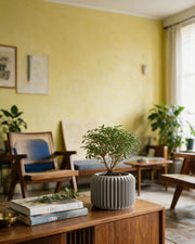 Rib Drum Planter – styled on a console