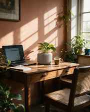 Rib Drum Planter – on a work desk in morning sun