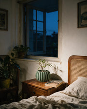 Rib Globe Planter – at night on a bedside table