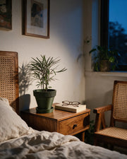 Rib Saucer Planter – at night on a bedside table