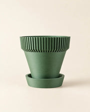 Rib Saucer Planter – front view
