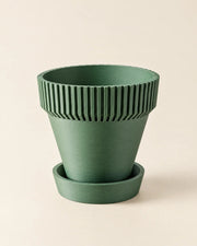 Rib Saucer Planter – three-quarter studio view
