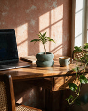 Rib Waist Planter – on a work desk in morning sun