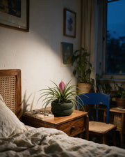 Ribbed Basin Planter – at night on a bedside table