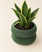 Ribbed Basin Planter – styled in use