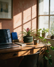 Ribbed Basin Planter – on a work desk in morning sun