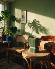 Ribbed Crate Planter – on a side table at golden hour