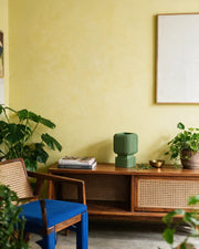 Ribbed Crate Planter – styled on a console
