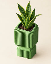 Ribbed Crate Planter – styled in use