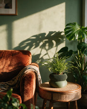Ribbed Pedestal Planter – on a side table at golden hour