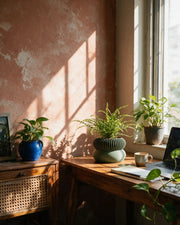Ribbed Pedestal Planter – on a work desk in morning sun
