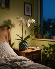 Ribbon Stripe Orchid Planter – at night on a bedside table