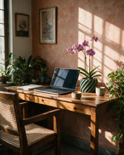 Ribbon Stripe Orchid Planter – on a work desk in morning sun