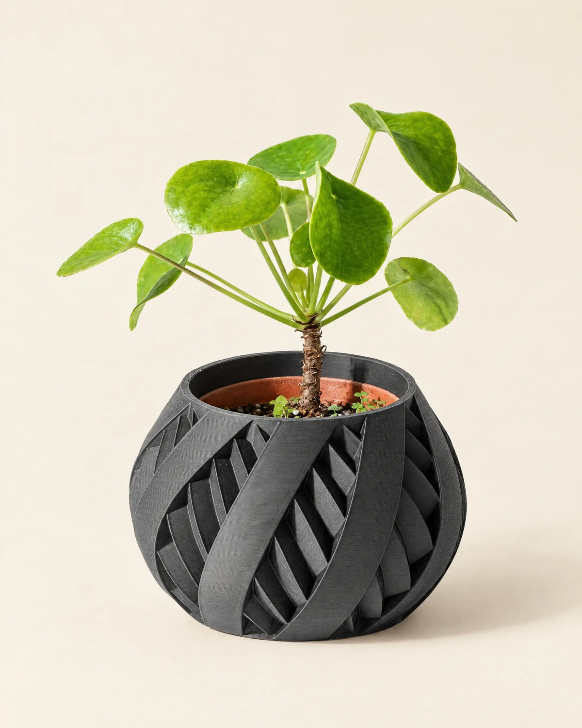 Ribbon Swirl Planter