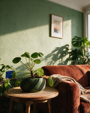 Ribbon Wrap Planter – on a side table at golden hour