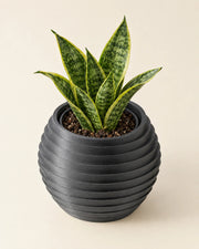 Ridge Stack Planter – styled in use