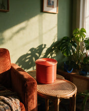 Ring Disc Box – on a side table at golden hour