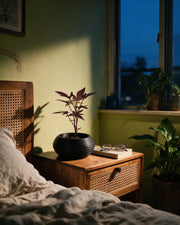 Ripple Bowl Planter – at night on a bedside table