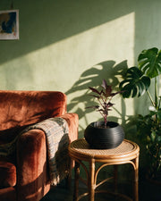 Ripple Bowl Planter – on a side table at golden hour