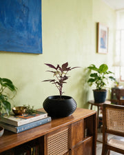 Ripple Bowl Planter – styled on a console
