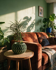 Ripple Fin Planter – on a side table at golden hour