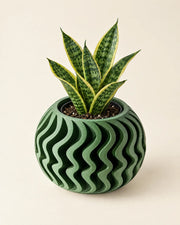 Ripple Fin Planter – styled in use