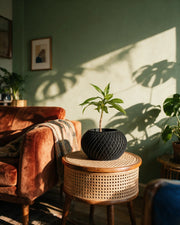Rope Twist Planter – on a side table at golden hour