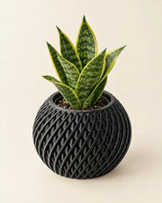 Rope Twist Planter – styled in use