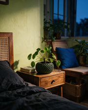 Scale Basin Planter – at night on a bedside table