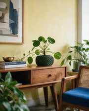 Scale Basin Planter – styled on a console