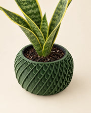 Scale Basin Planter – styled in use