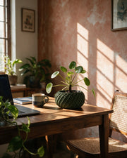 Scale Basin Planter – on a work desk in morning sun