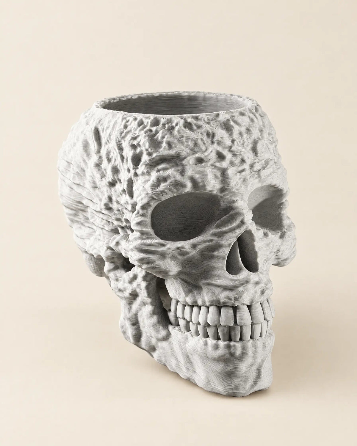 Skull Planter