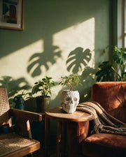 Skull Planter – on a side table at golden hour