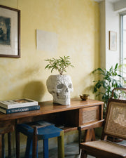 Skull Planter – styled on a console