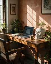 Skull Planter – on a work desk in morning sun