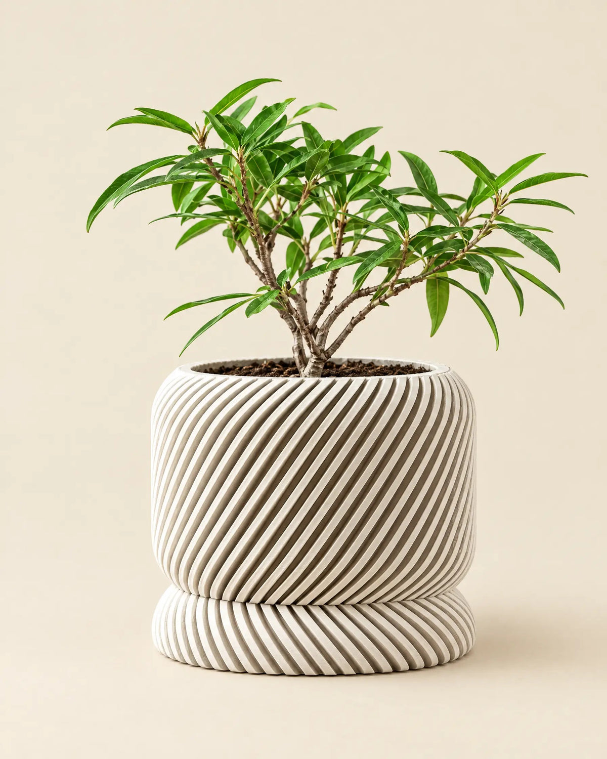 Slant Rib Planter