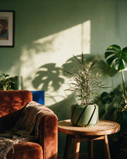 Slash Cut Planter – on a side table at golden hour