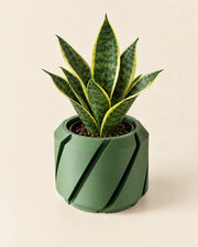 Slash Cut Planter – styled in use