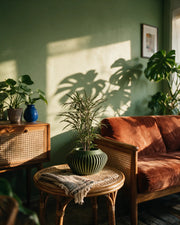 Slat Bowl Planter – on a side table at golden hour