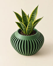 Slat Bowl Planter – styled in use