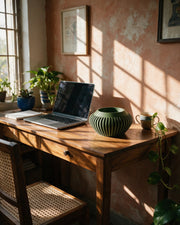 Slat Bowl Planter – on a work desk in morning sun