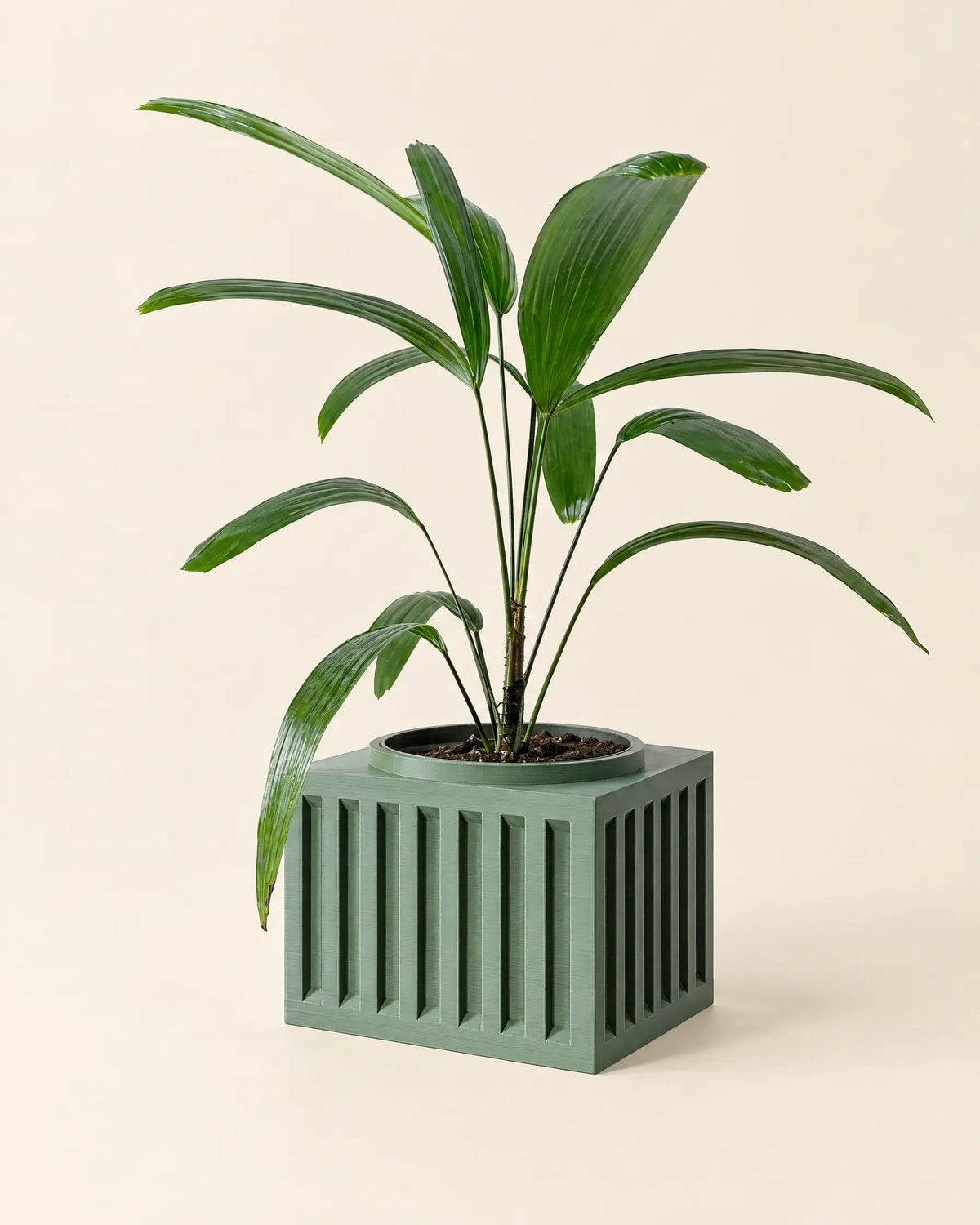Slat Box Planter