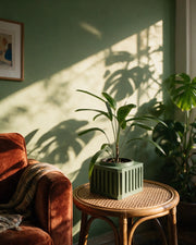 Slat Box Planter – on a side table at golden hour