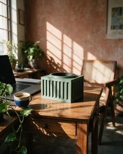 Slat Box Planter – on a work desk in morning sun